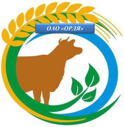 Открытое акционерное общество «Орля»