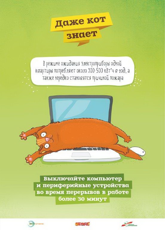 eco cat placards 04 3 1