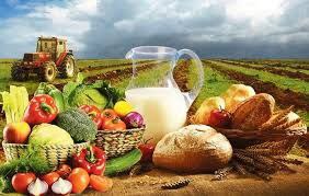 IMG 20231117 084628 104